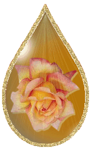 globe_fleurs_etoileb-183.gif
