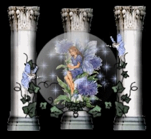globe_fees_etoileb-012.GIF