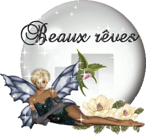 globe_femme_etoileb-056.gif