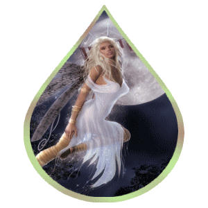 globe_femme_etoileb-075.gif