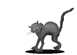 superstition-etoileb007.gif