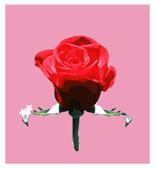 amour_eb-154.gif