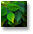 Puce_bouton_petit_eb-054.gif