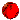 Puce_eb-012.gif