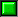 Puce_eb-056.gif