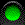 puces_eb-073.gif