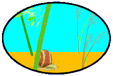 Aquarium_eb-049.gif