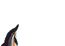 dauphins-eb_074.gif
