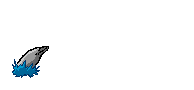 dauphins-eb_093.gif