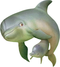 dauphins-eb_101.gif
