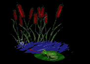 grenouille_eb-271.gif