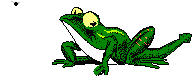 grenouille_eb-277.gif