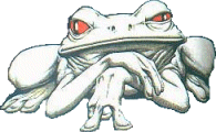grenouille_eb-281.gif