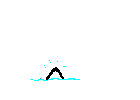 orque_eb-006.gif