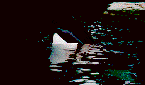 orque_eb-008.gif