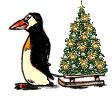 pingouin_eb-080.gif