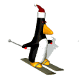 pingouin_eb-081.gif