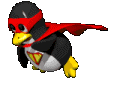 pingouin_eb-083.gif