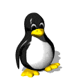 pingouin_eb-088.gif