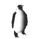 pingouin_eb-093.gif