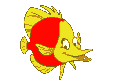 poisson_eb-106.gif