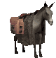 ane_eb-004.gif