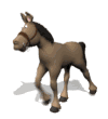ane_eb-009.gif