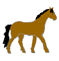 cheval_eb-006.gif