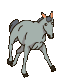 cheval_eb-007.gif