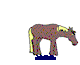 cheval_eb-027.gif