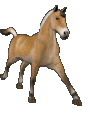 cheval_eb-036.gif