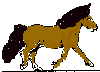 cheval_eb-055.gif