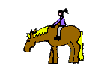 cheval_eb-056.gif