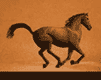 cheval_eb-062.gif