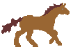 cheval_eb-068.gif