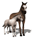 cheval_eb-072.gif