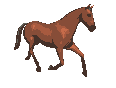 cheval_eb-075.gif