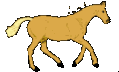 cheval_eb-077.gif