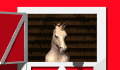 cheval_eb-078.gif