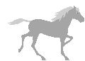 cheval_eb-079.gif