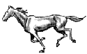 cheval_eb-087.gif