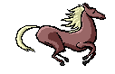 cheval_eb-091.gif
