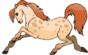 cheval_eb-092.gif