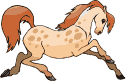 cheval_eb-093.gif