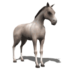 cheval_eb-112.gif
