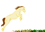 cheval_eb-113.gif