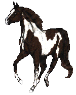 cheval_eb-123.gif