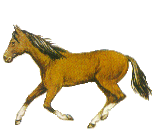 cheval_eb-124.gif