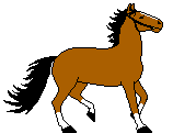 cheval_eb-126.gif