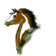 cheval_eb-147.gif